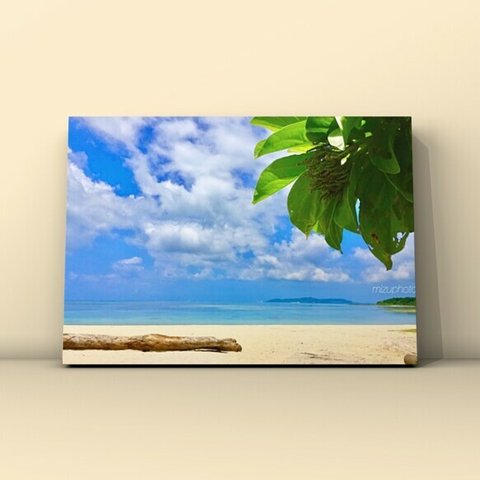 The shining sun  〜沖縄の風景をあなたのお部屋に〜【写真サイズとパネル加工が選べる】