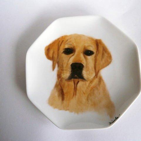ラブラドール犬の絵皿