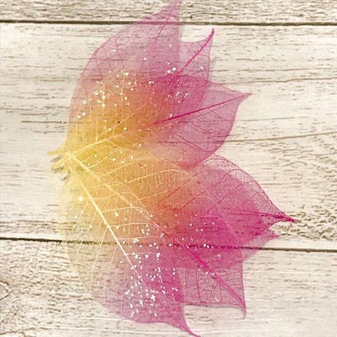 ミニスケルトンリーフアレンジ加工❣️キラキラオーロララメ付き❣️ハーバリウム花材プリザーブドフラワー