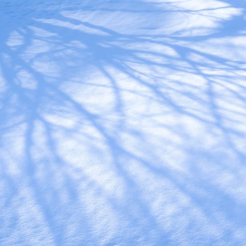 写真のある豊かな暮らし【冬の陰遊び】