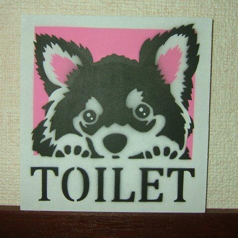 トイレ　犬　かわいい　チワワ　プレゼント　toilet dog