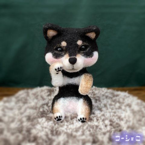 ぷにっとほっぺの黒柴　羊毛フェルト　ハンドメイド　柴犬