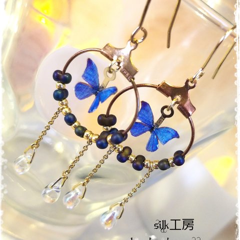 16kgp モルフォ蝶ピアス.+*:ﾟ+｡.☆