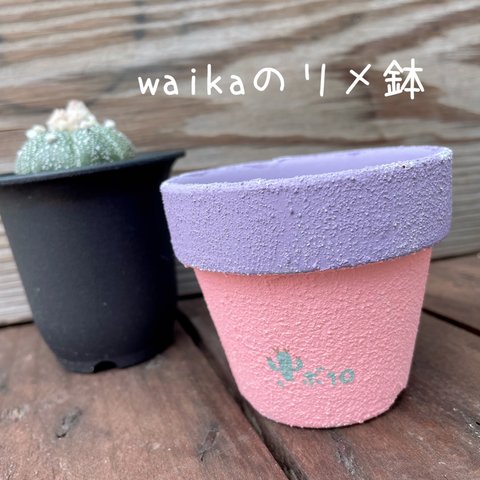 リメイク鉢　2.5号　サボテン　waikaのリメ鉢　リメ鉢