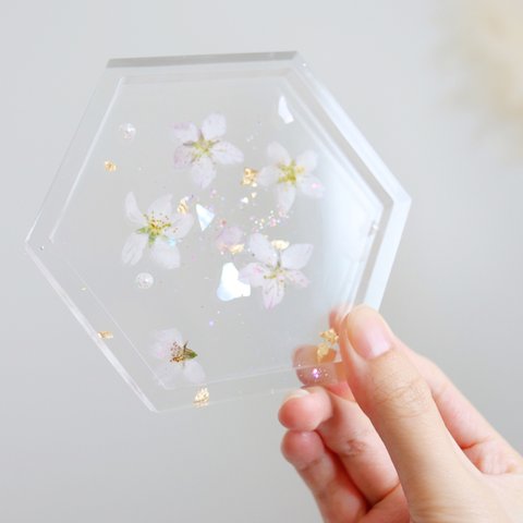 (ｺｰｽﾀｰ・ｱｸｾｻﾘｰﾄﾚｲ2WAY)桜🌸