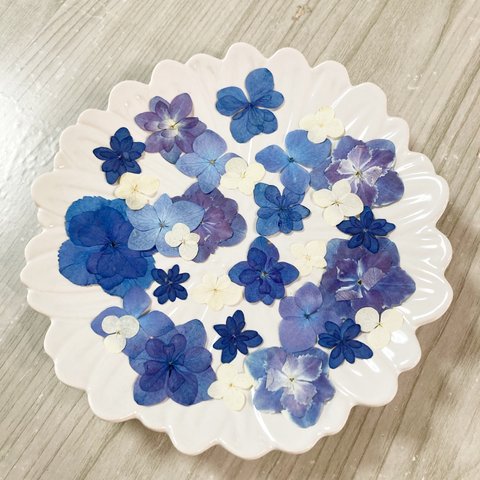 押し花素材　材料　140