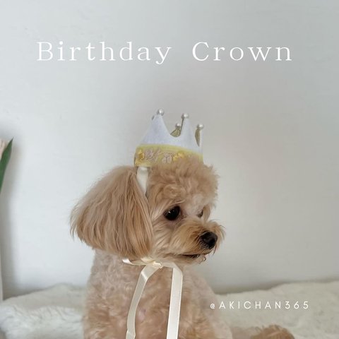 ミニ ベビークラウン （slim）w×wgコ（w）花柄刺繍リボン（y）《100日、記念日、誕生日、ハーフバースデー、ニューボーンフォト、1歳、あご紐、王冠、冠、犬、猫、うさぎ》
