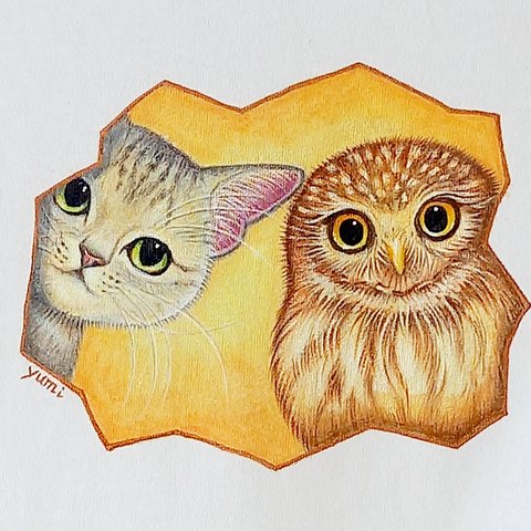 手描き　猫とフクロウの　明日はきっと晴れるよTシャツ