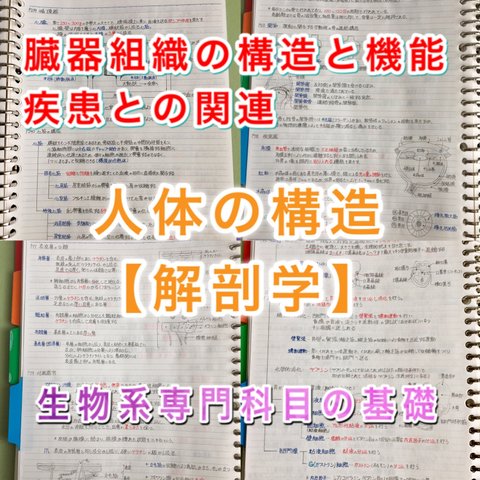 柔道整復師、鍼師、灸師、指圧師国家試験、定期試験対策シリーズ【解剖学】