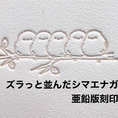  ズラっと並んだシマエナガ❤️亜鉛版刻印❤️活版❤️レザークラフト❤️メタル