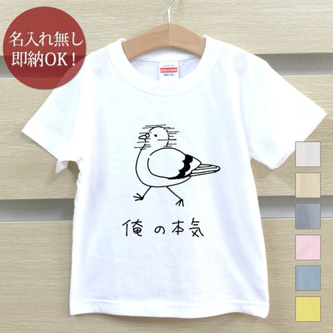 Ｔシャツ ベビー キッズ 子供 おもしろ ウケねらい 俺の本気 鳩 ハト 動物 鳥 バード  即納