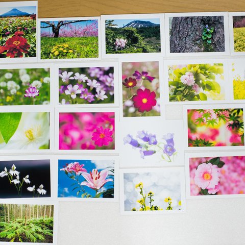 Lサイズの写真・花と自然の風景色々26枚セット(L012)