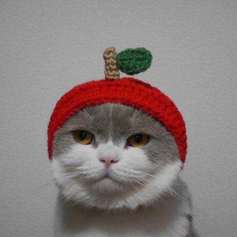 猫用帽子 犬用帽子 真っ赤なリンゴのかぶり物