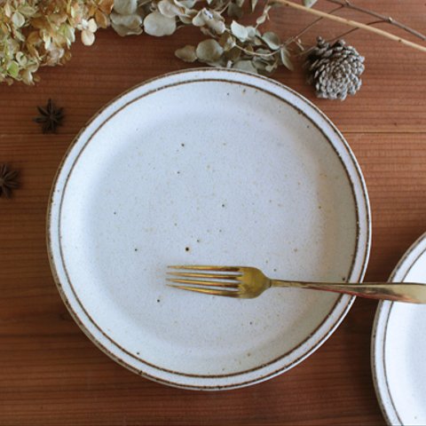 NEW! 鉄粉のある　細リムの丸いお皿 21.5cm 乳白色　大きめの深さのあるワンプレート　陶器