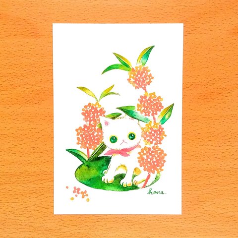 白猫とキンモクセイ(選べるポストカード２枚組)