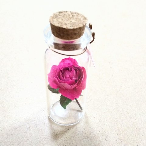 ﾐﾆ布花♡薔薇＊ﾋﾞｸﾄﾘｱ