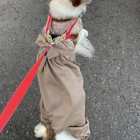  犬服オーバーオールロンパース　ベージュにホワイトドット身頃　ブラウンビッグパンツ　新作💕