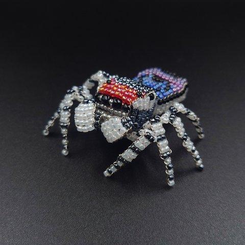 【ピーコックスパイダー】