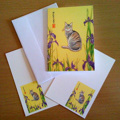 グリーティングカード封筒付き＋絵ハガキ2枚セット 猫 杜若（かきつばた） 和風水彩イラスト