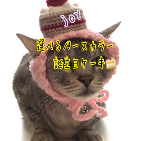 選べるカラー誕生日.ケーキ4月.ニット帽.猫.被り物.コスプレ毛糸