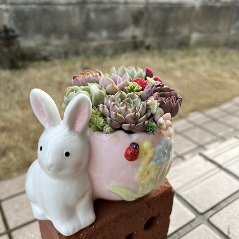 ★送料無料★限定商品♬★そのまま飾れる♡イースター♬うさぎちゃんの可愛い多肉植物寄せ植え╰(*´︶`*)╯♡