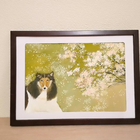 桜とシェルティ(原画)