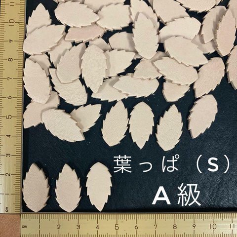 ヌメ革　葉っぱ（Ｓ）　A級　４０枚セット