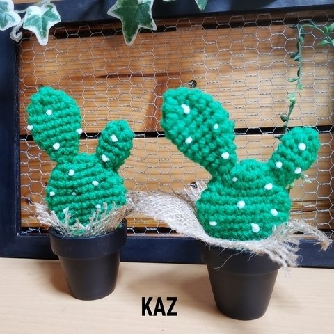 うちわサボテン🌵 インテリア ミニサボテン 可愛い編みサボテン