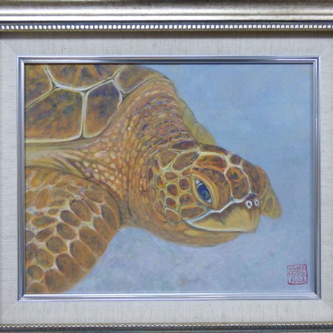 日本画「TURTLE」（Ｆ３号）