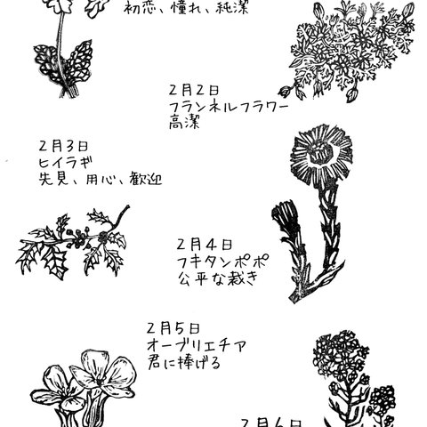 ２月の誕生花のスタンプ 取っ手なし