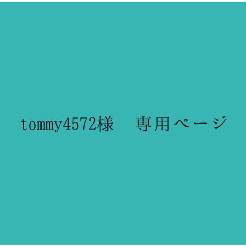 tommy4572様 専用ページ