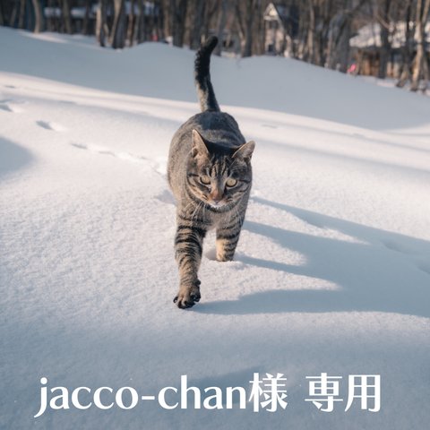 jacco-chan様専用　購入コーナー