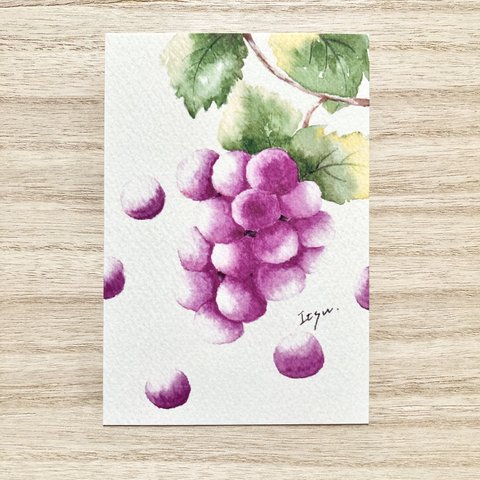 🍇透明水彩画「瑞々しい葡萄」イラストポストカード2枚セット  ブドウ ぶどう　食欲の秋　秋の味覚　フルーツ　秋🍇