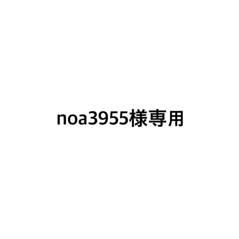 noa3955様専用ページ