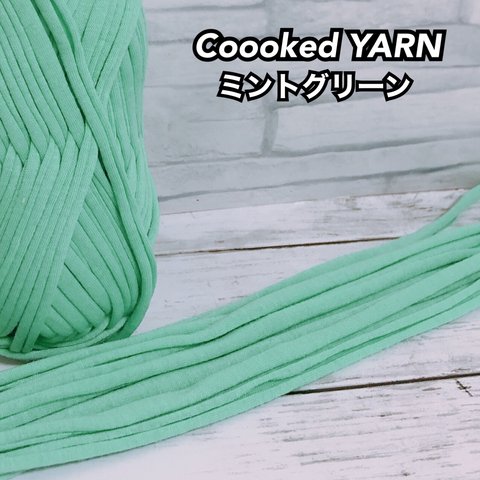 Tシャツヤーン 【ミントグリーン】【薄青色】【切り売り5ｍ】Coooked YARN