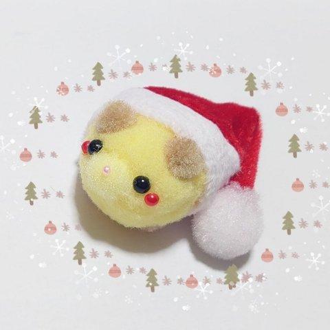 ✨🎄ﾎﾟﾝﾎﾟﾝXmas🎅✨サンタ帽inハムスター(キンクマ)🐹★pon pon Friends★