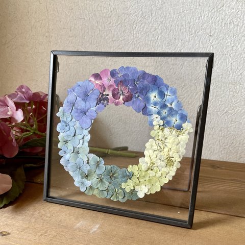 贅沢紫陽花のアイアンフレームの押し花額〜梅雨の時期も爽やかなあじさいがお部屋の中を華やかに