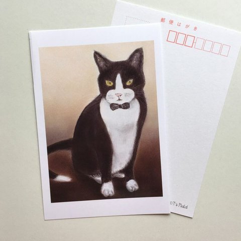 １８９　選べるポストカード　タキシード猫　5枚セット