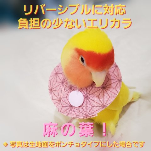 インコ エリザベスカラー（麻の葉）１枚・３サイズ・4ｇ