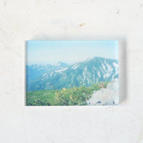 山の透けるアクリルパネル 10×7cmミニ 【小蓮華山の花】 