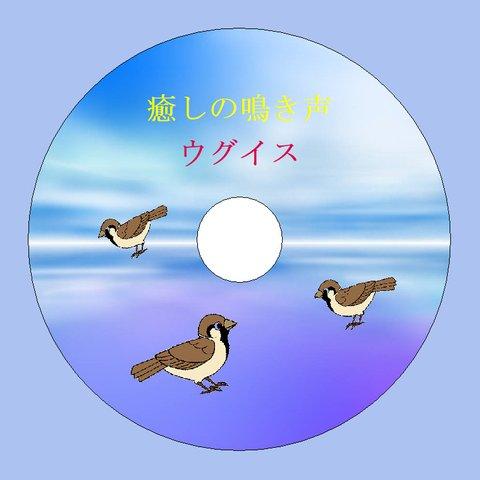 癒しの鳴き声 ウグイス