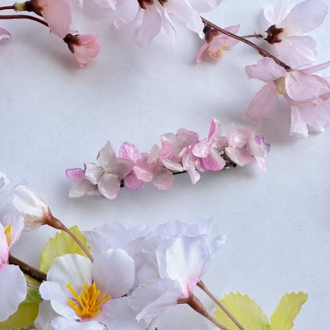 桜色🌸な本物の紫陽花 が咲く バレッタ 髪飾り ˚⊹ ⁺‧