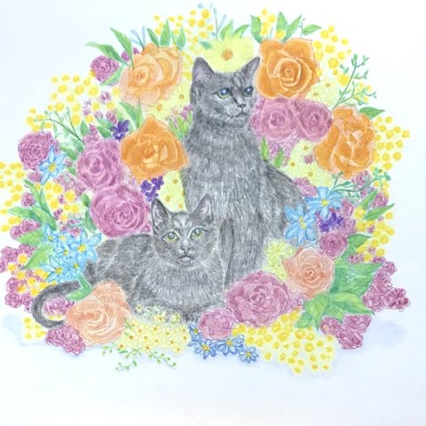 猫と花