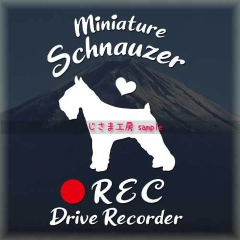 わんちゃんのかわいいドラレコステッカー　『DRIVE　RECORDER』