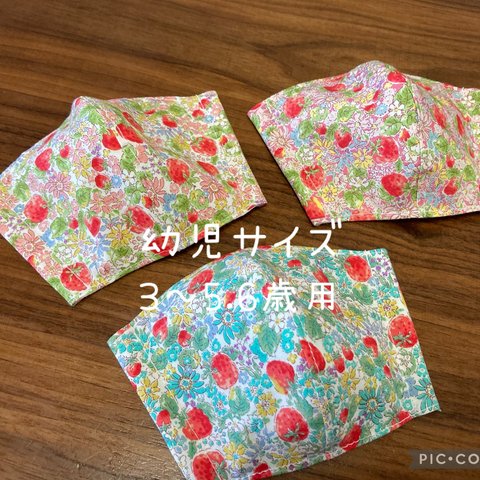 【受注製作＊送料無料】ハンドメイド 立体マスク 子供用 幼児サイズ 野いちご 3枚セット