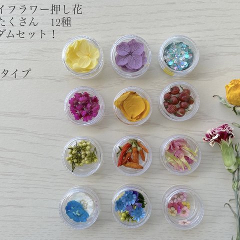 お花いっぱい！ドライフラワー押し花　花材　全12種　レジン　小花　アクセサリーパーツ