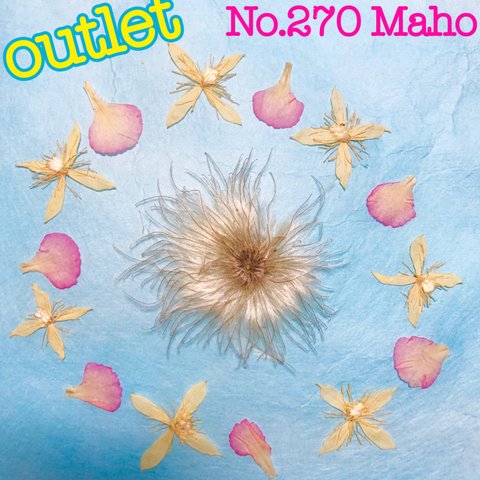 ♡outlet♡クレマチス、カーネーションの花びら、仙人草♡