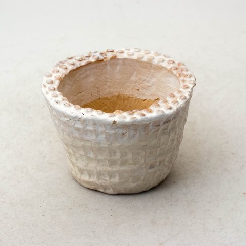 陶器製 小型　多肉植物の欲しがる植木鉢 SMSSc-イエロー8460