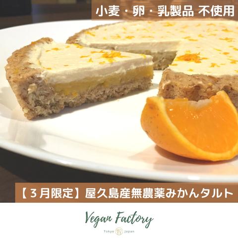 3/21迄《季節のタルト》屋久島名産タンカンクリームチーズタルト15cm｜小麦 卵 乳製品 はちみつ 白砂糖 不使用 ● vegan対応 ● グルテンフリー ●