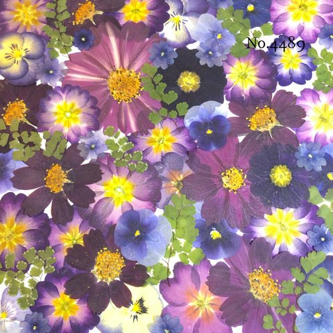 ♡new♡作家様必見♡押し花MIXセット♡押し花セット